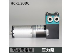 HC1.30DC.M美創(chuàng)力噴碼機(jī)有刷壓力泵微型高壓泵