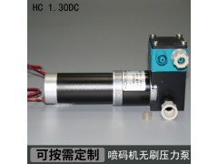 HC 1.30DCB.M美創(chuàng)立噴碼機(jī)無(wú)刷壓力泵,萊賓格壓力泵