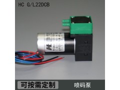 HC22DCB廠家直銷依碼仕9018溶劑泵